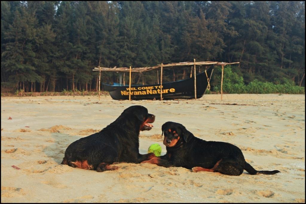 Nirvana Nature Hotel Gokarna  Luaran gambar