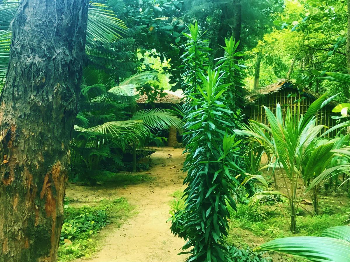 Nirvana Nature Hotel Gokarna  Luaran gambar